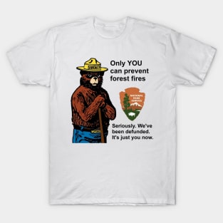 Only You Can Prevent Forest Fires Defunded Smokey Bear T-Shirt